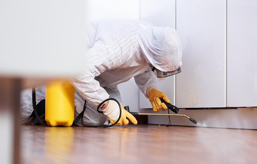 The Top Signs of an Expert Pest Control Company